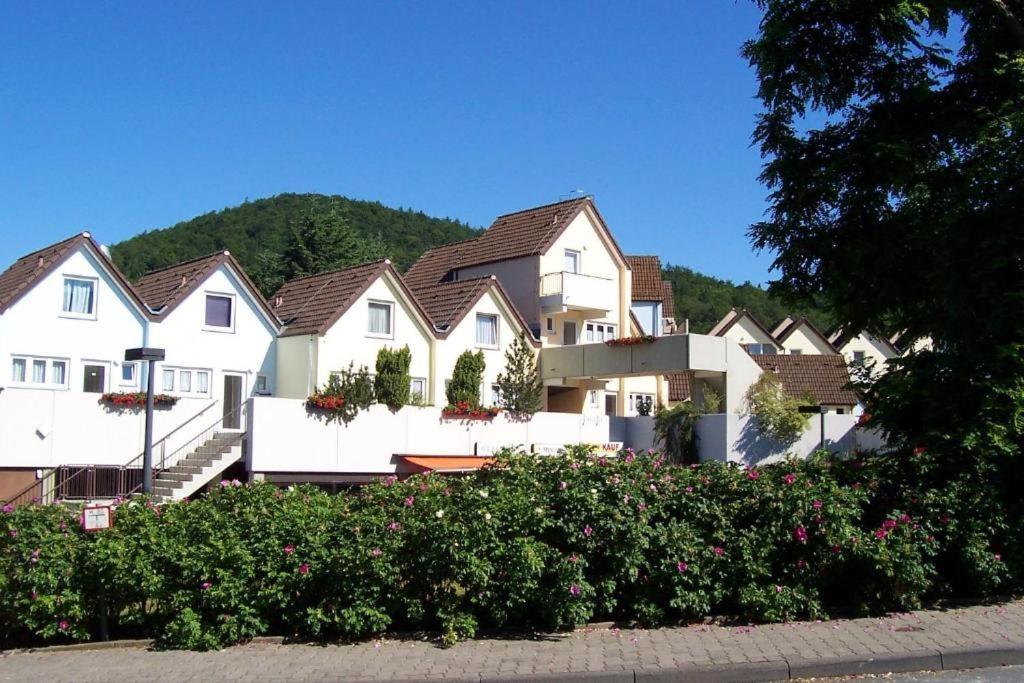 Scheid  Gemutliche 93M2Fewo Mit 2 Schlafzimmern Und Seitlichem Seeblick Vom Balkon מראה חיצוני תמונה